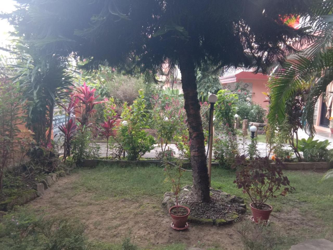 Kalpana G. House Hotel Pokhara Eksteriør billede